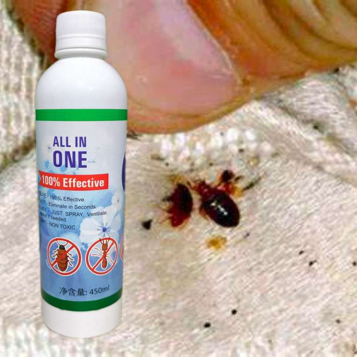 Bed Bug Control